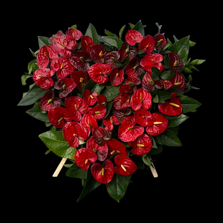 Aranjament funerar în formă de inimă cu anthurium roșu și frunze verzi